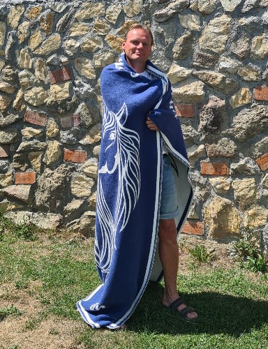 Blaue Drachendecke – Bild 2